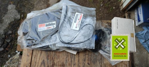 IMG_20230828_101126